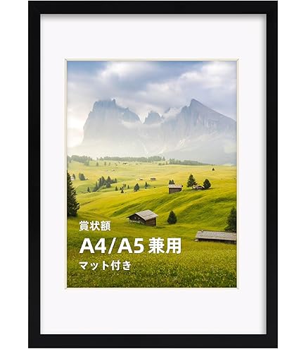 Amazon | FUJICOLOR 額縁 クリアフレーム A4/A5 透明 42733